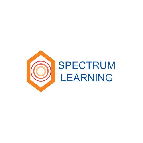 Slow Learning - Global Developmental Delay Treatment | Spectrum Learning